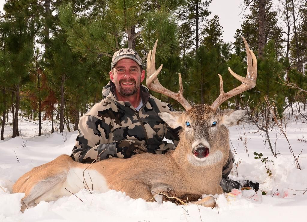 Black Hills deer Hunt Talk